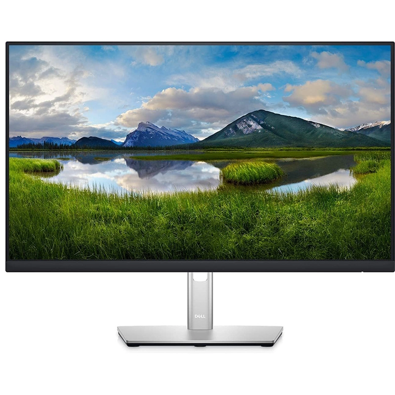 DELL 23.8 P2422HE USB-C Profesional IPS monitor