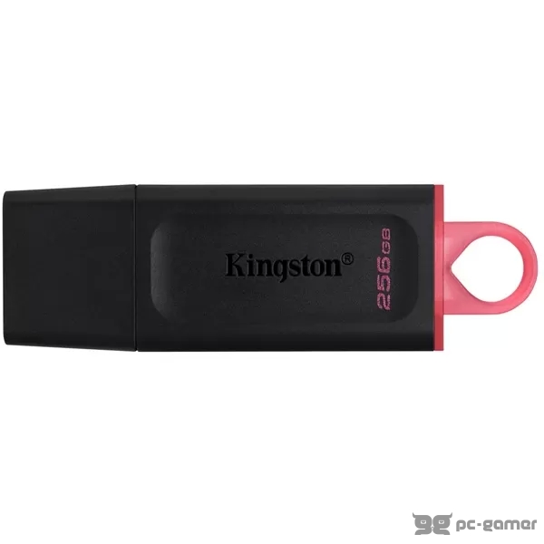 Kingston DTX/256GB