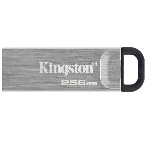 Kingston DTKN/256GB