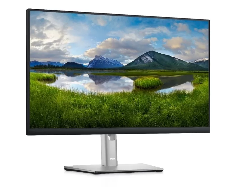DELL P2422HE