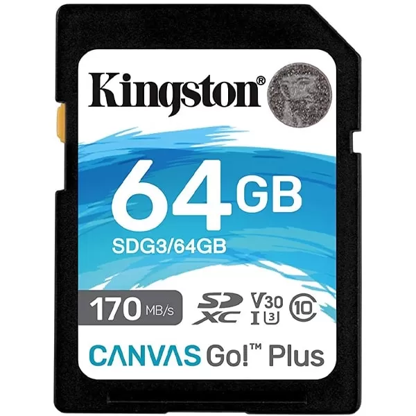 Kingston SDG3/64GB