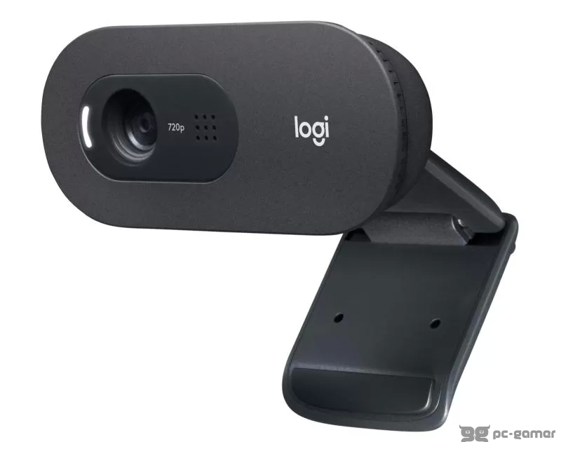 LOGITECH C505E Long Range HD web kamera OEM